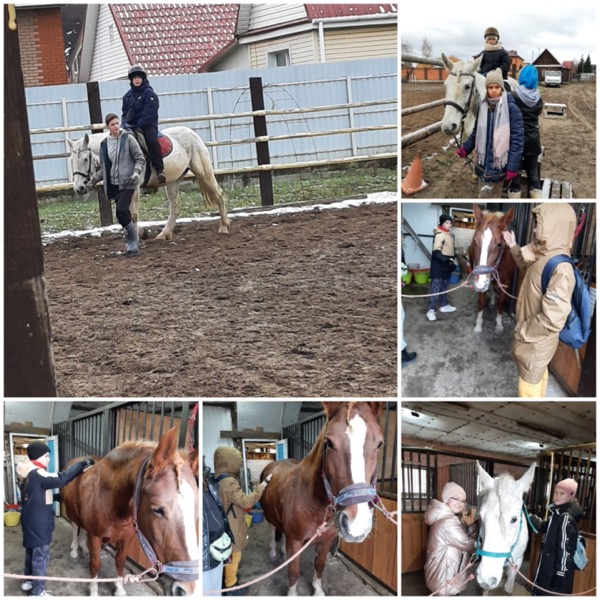 Экскурсия на конный двор